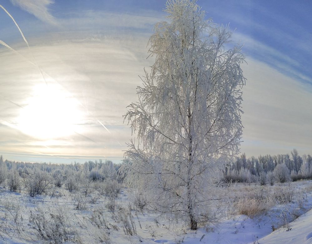 Photo 2694692