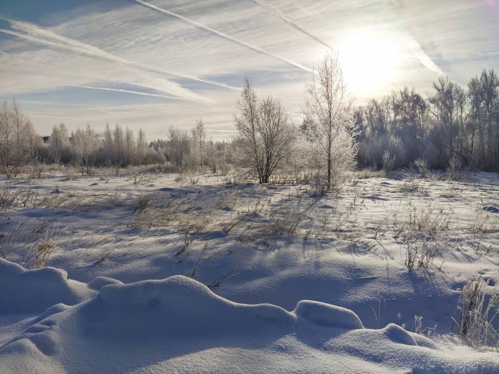 Photo 2694693