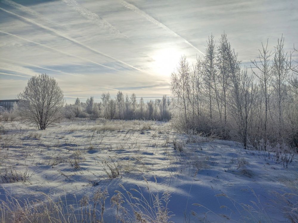 Photo 2694694