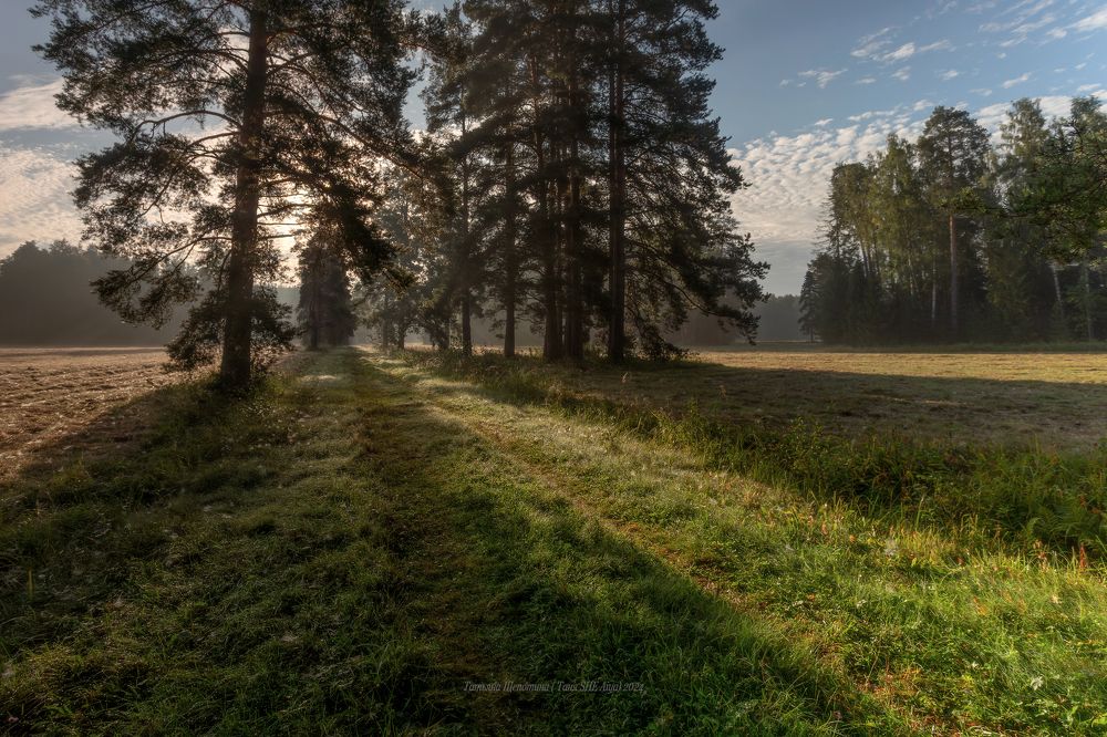 Праздник света в конце лета