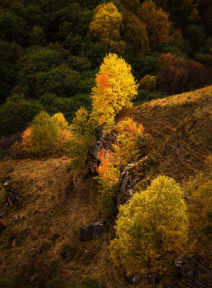 Осень на перевале