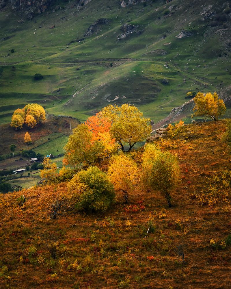 Осень на перевале