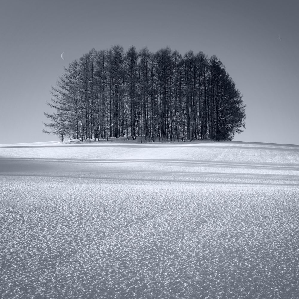 Minimalist winter landscapes of Hokkaido
