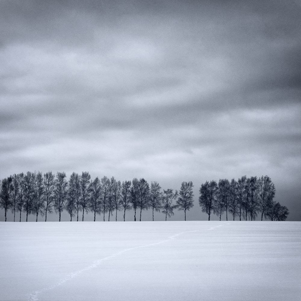 Minimalist winter landscapes of Hokkaido