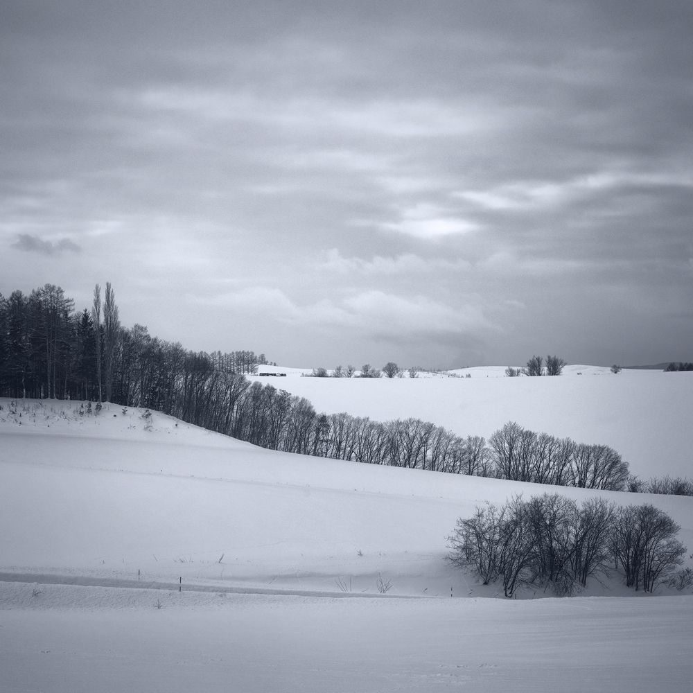 Minimalist winter landscapes of Hokkaido