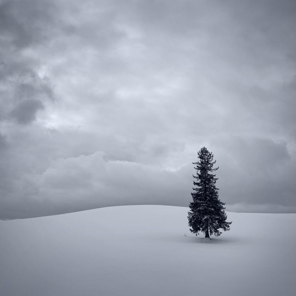 Minimalist winter landscapes of Hokkaido
