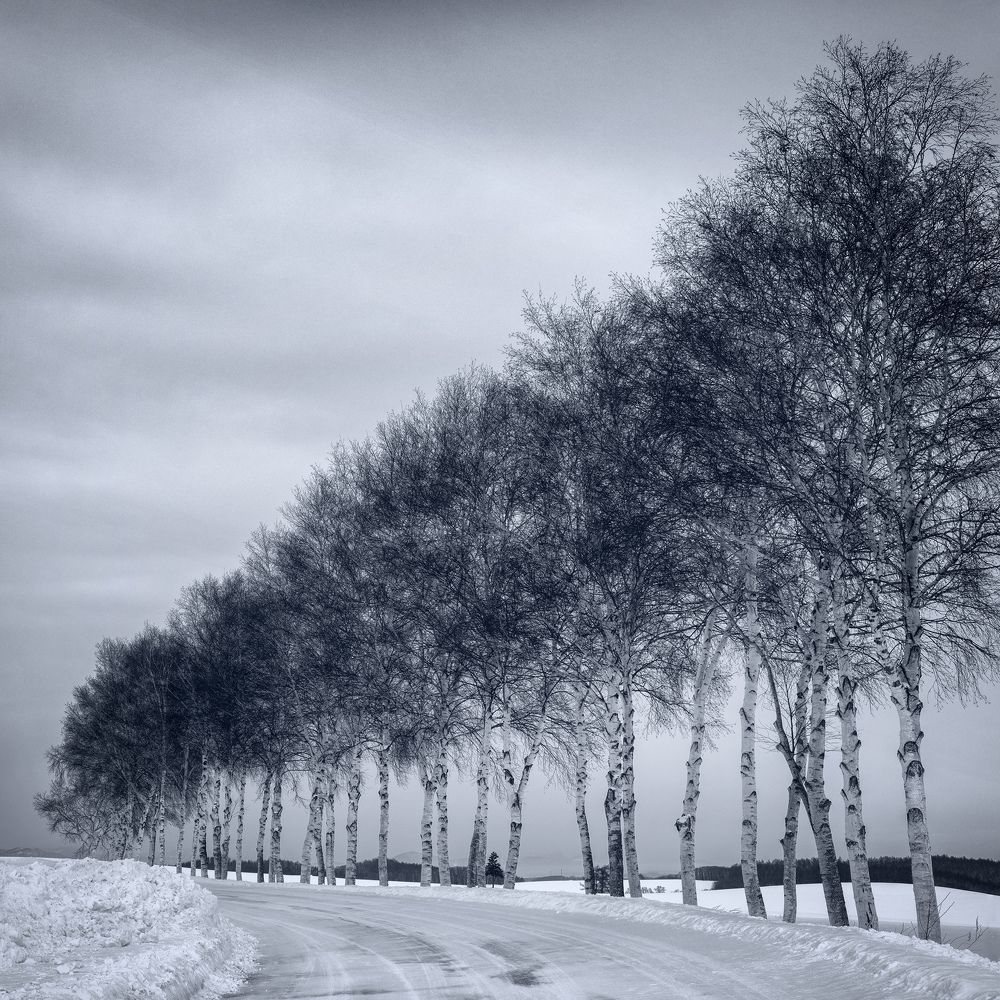 Minimalist winter landscapes of Hokkaido