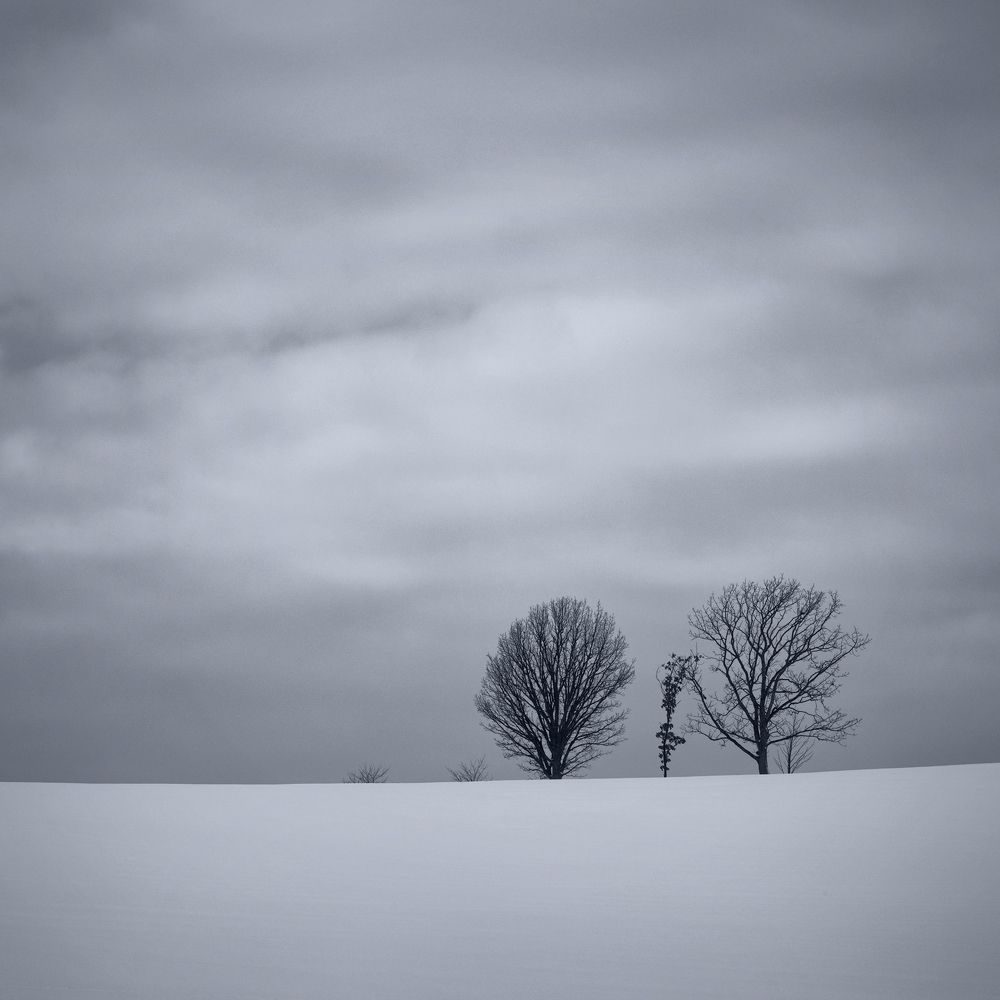 Minimalist winter landscapes of Hokkaido