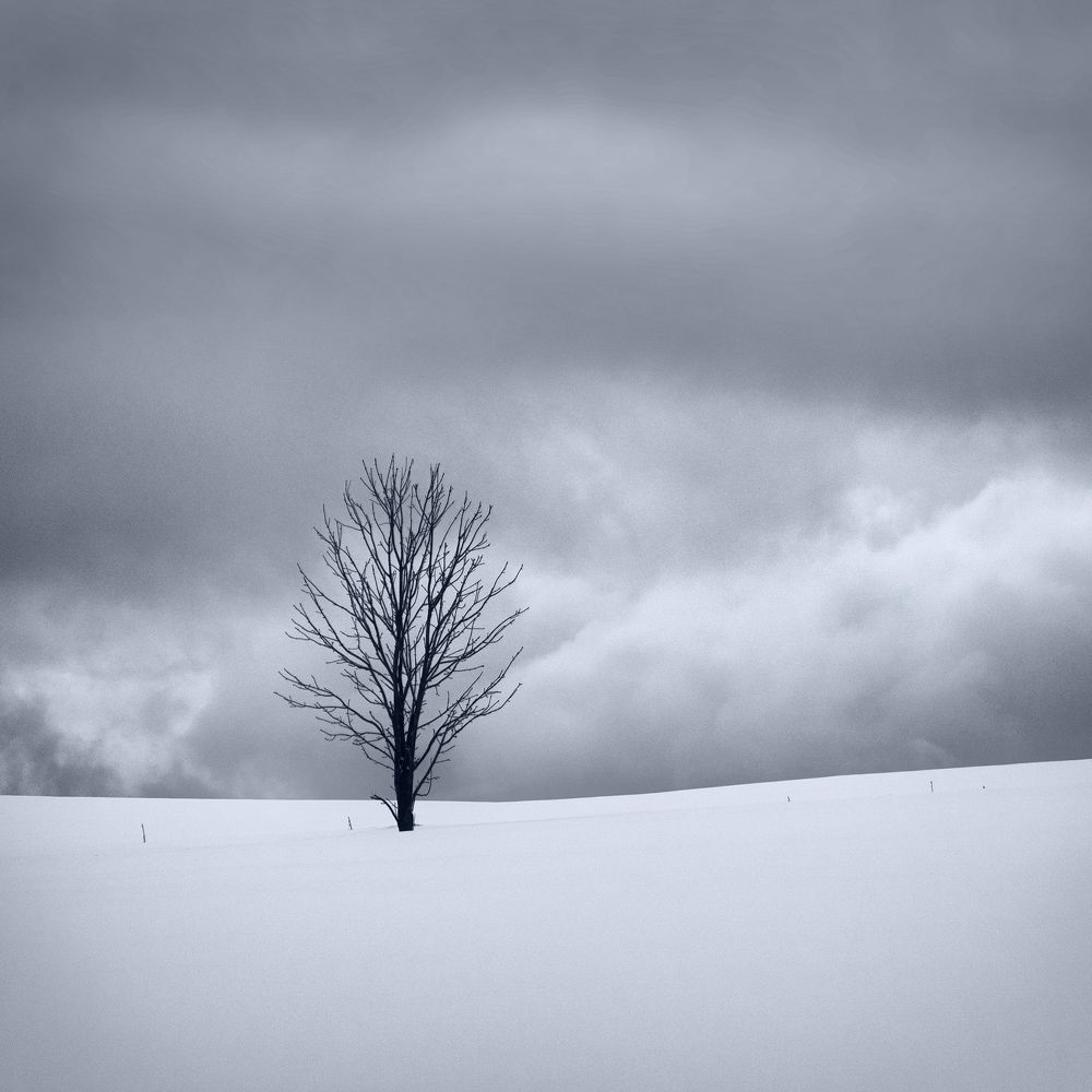 Minimalist winter landscapes of Hokkaido