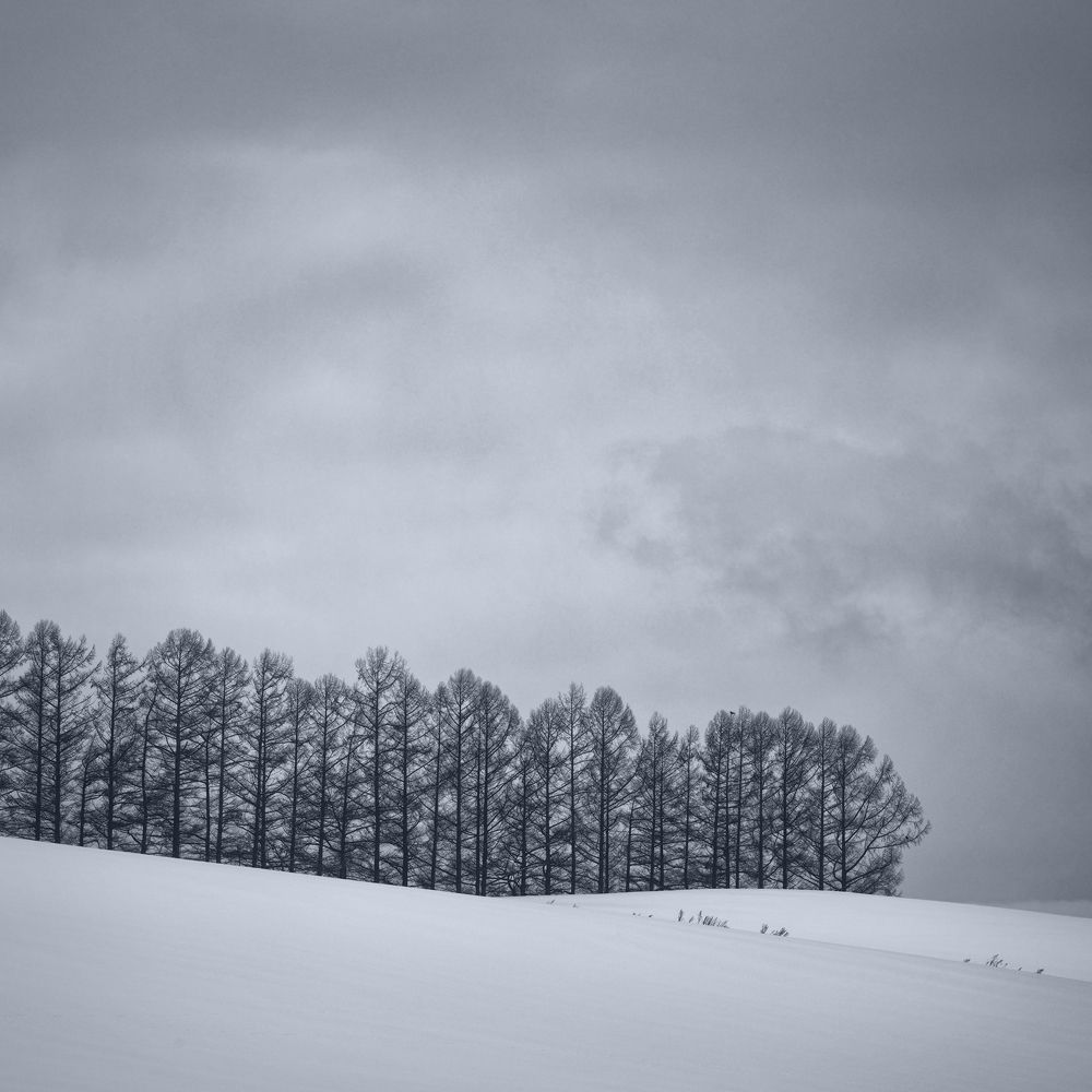 Minimalist winter landscapes of Hokkaido