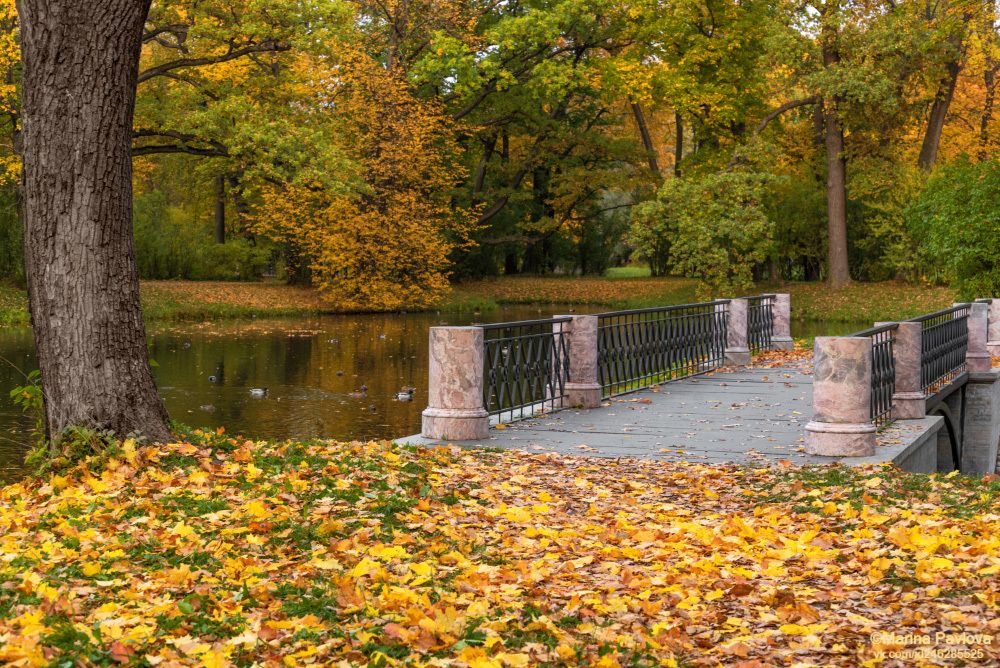 Золотая осень в Александровском парке