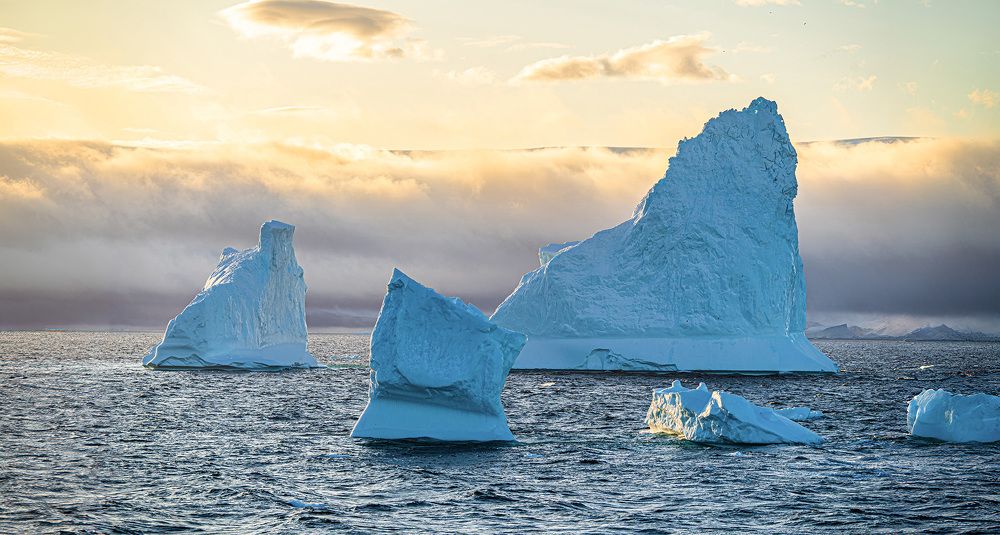 Expedition tour to Antarctica