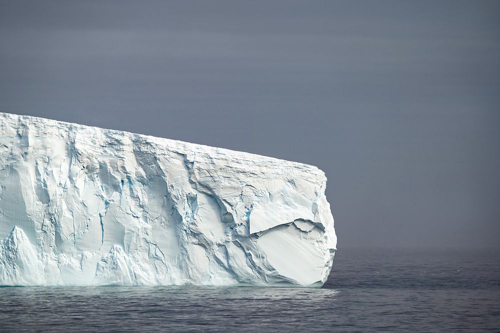 Expedition tour to Antarctica