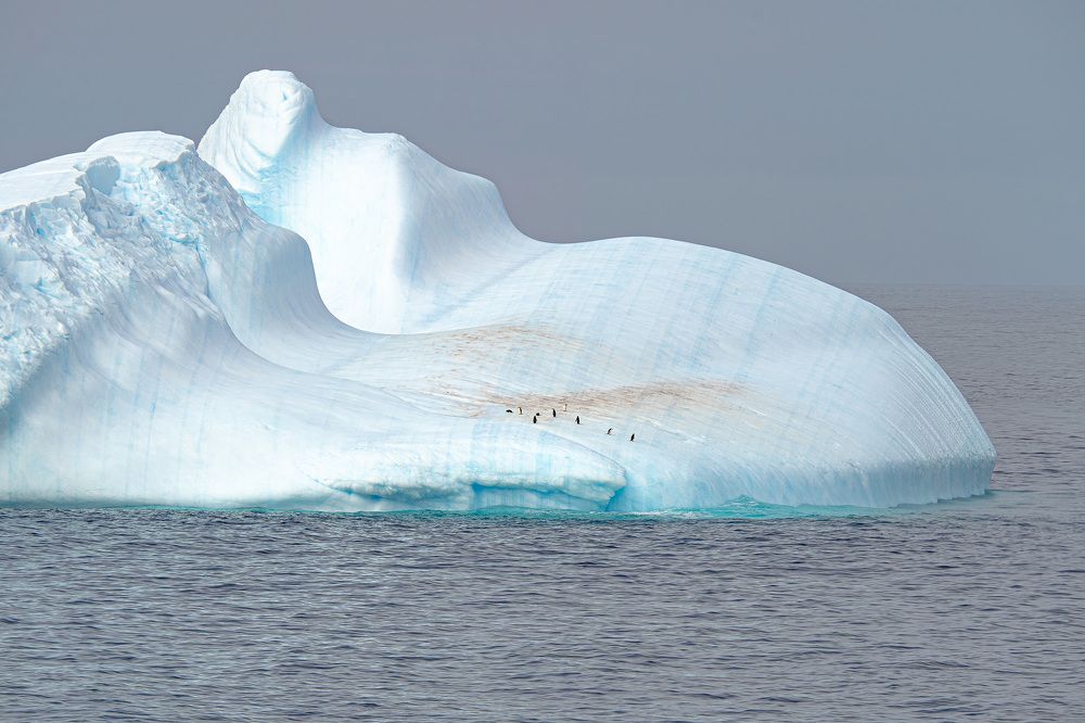 Expedition tour to Antarctica