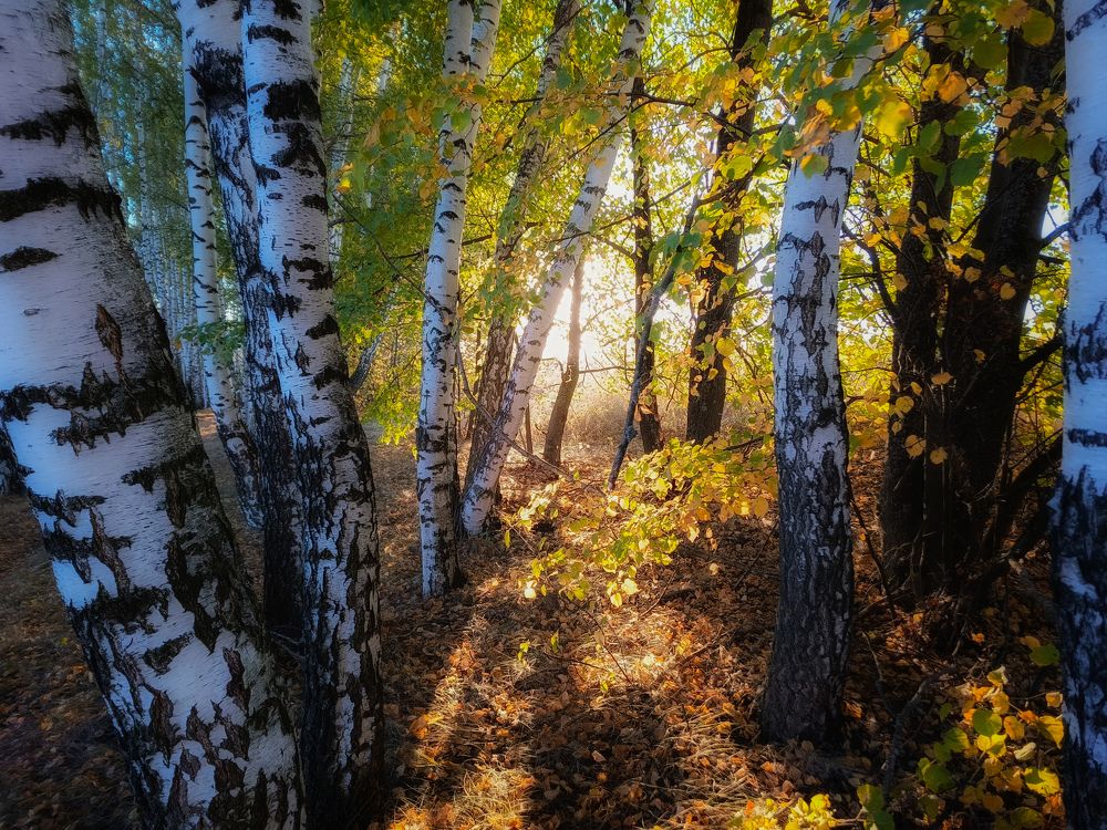 Photo 2697923