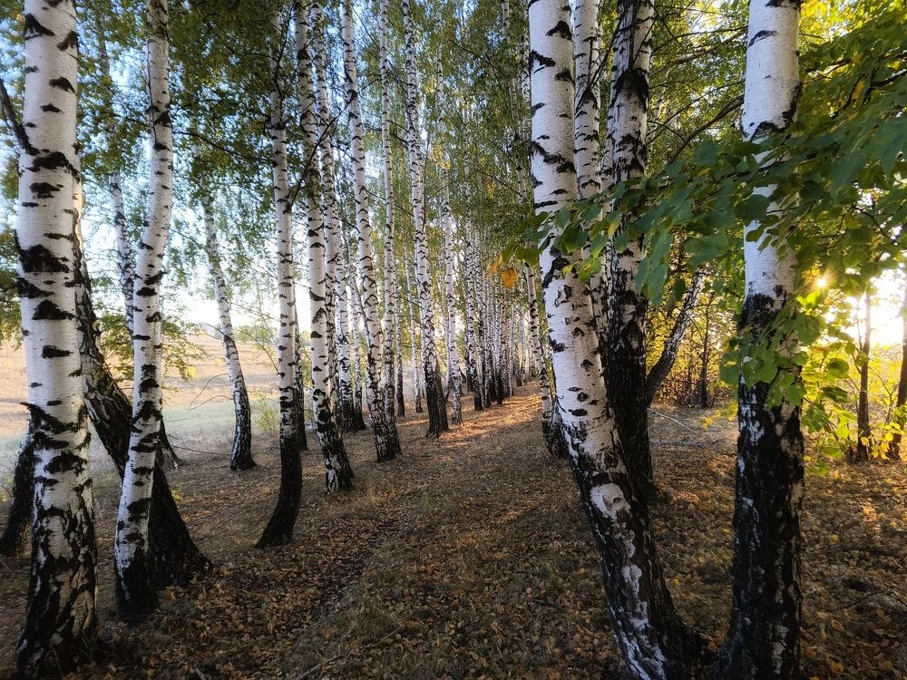 Photo 2697924