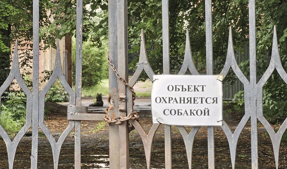Прогулка по Петергофу