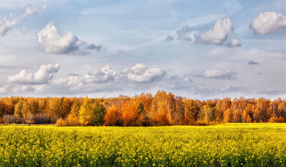 Краски осени