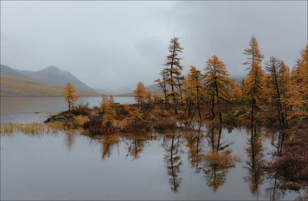 Моросит
