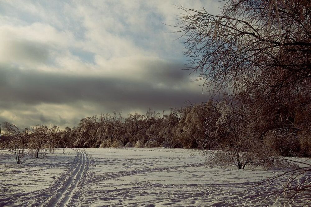 День.