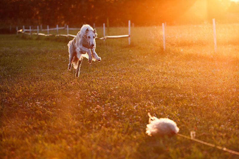 Photo 27764