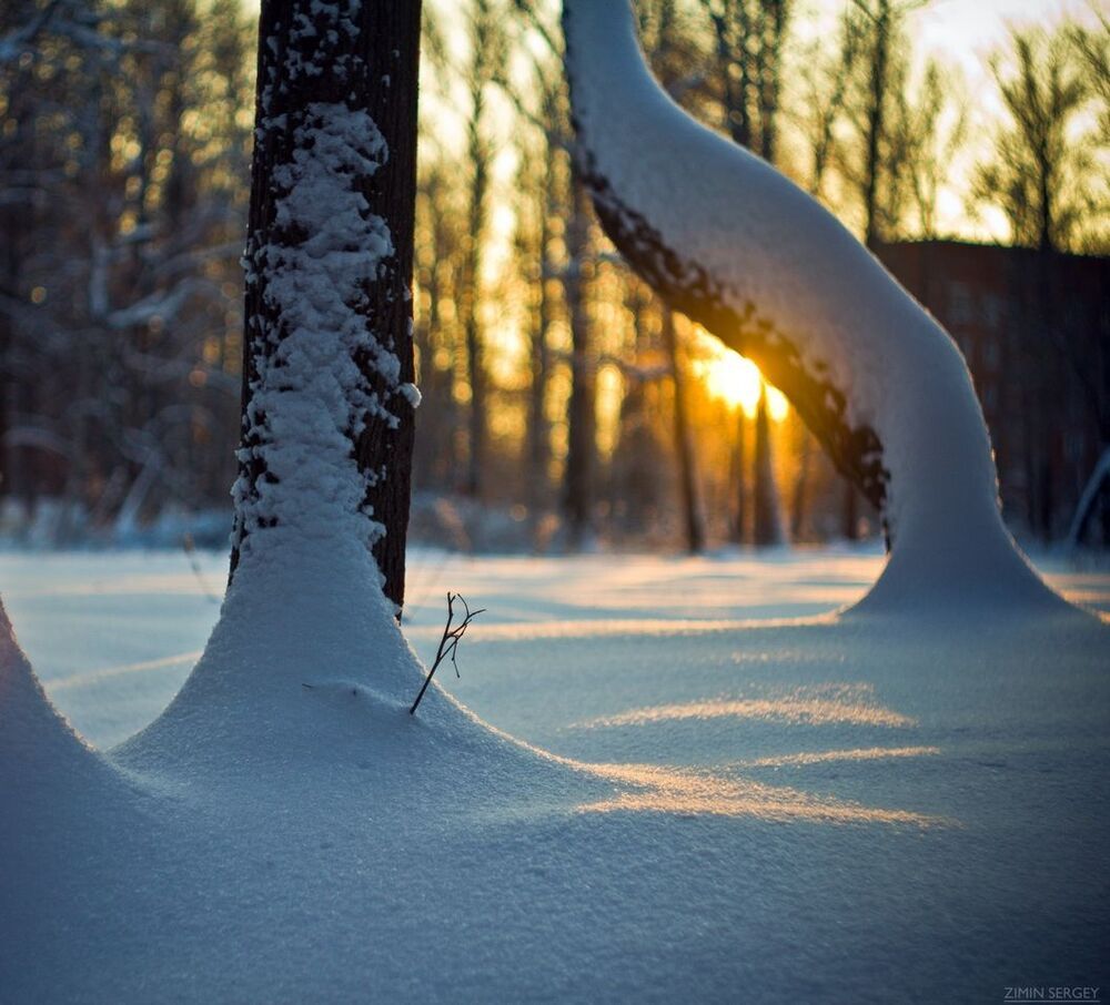 немного солнца