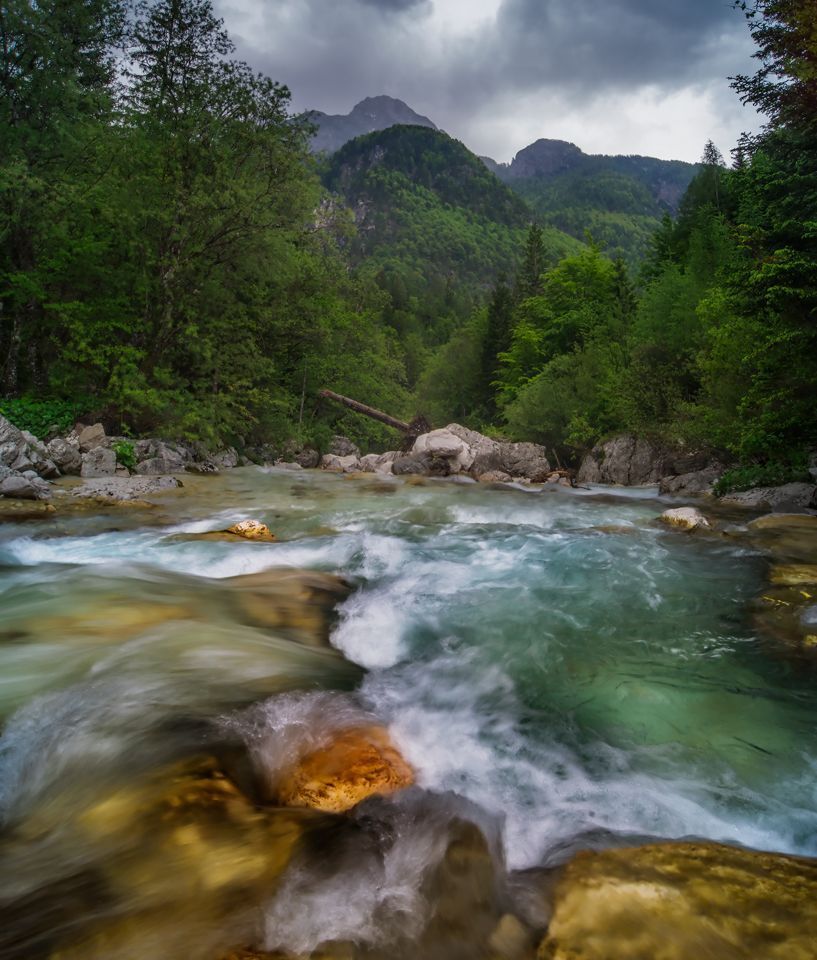 The wild river Soca