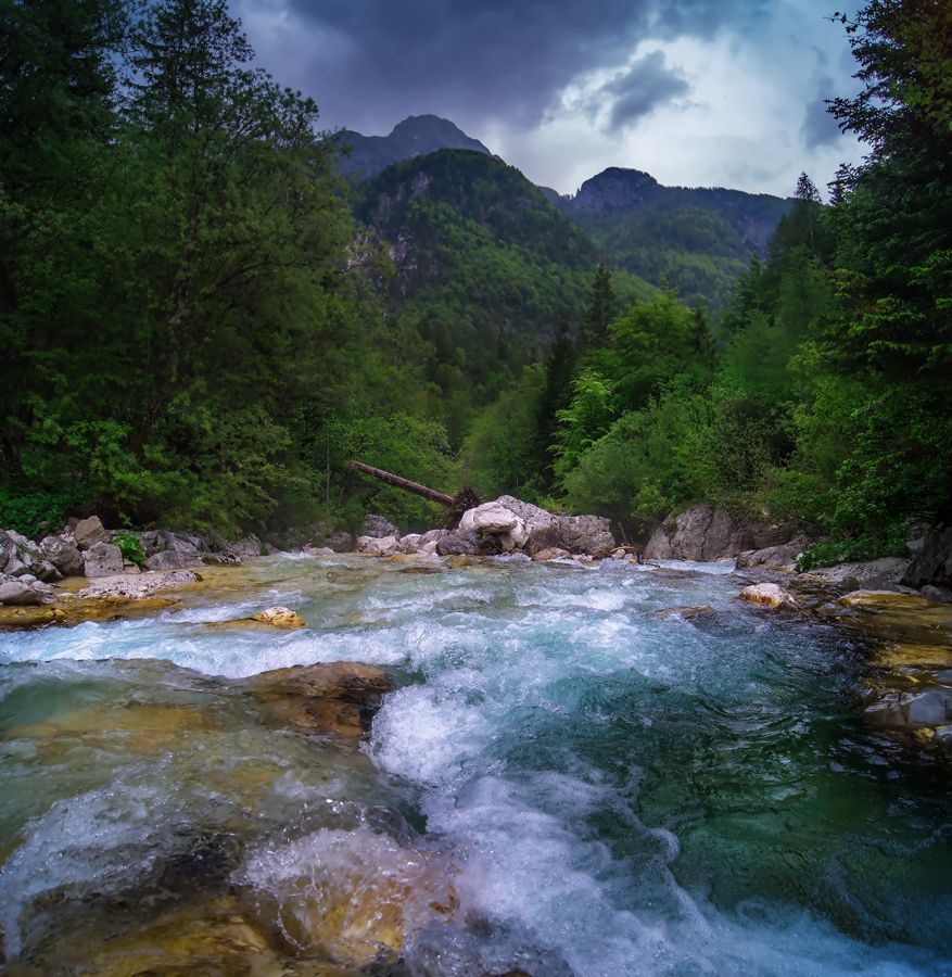 The wild river Soca