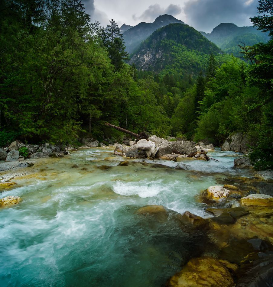 The wild river Soca