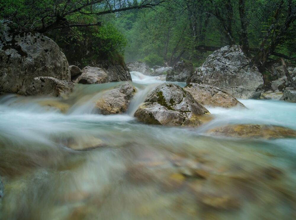 The wild river Soca