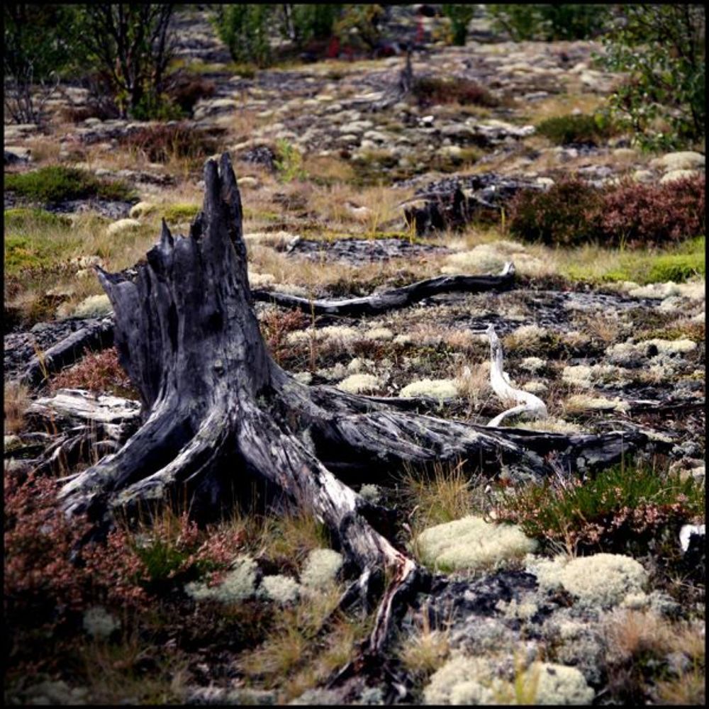 Белое Море - Архипелаг Кузова