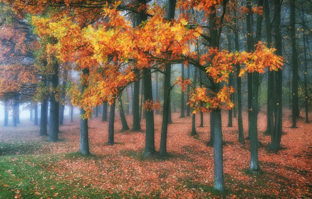 Пора листопада