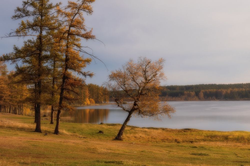 Осенняя