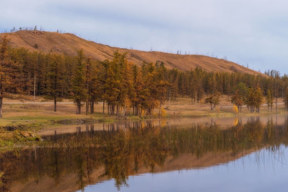 Осенняя