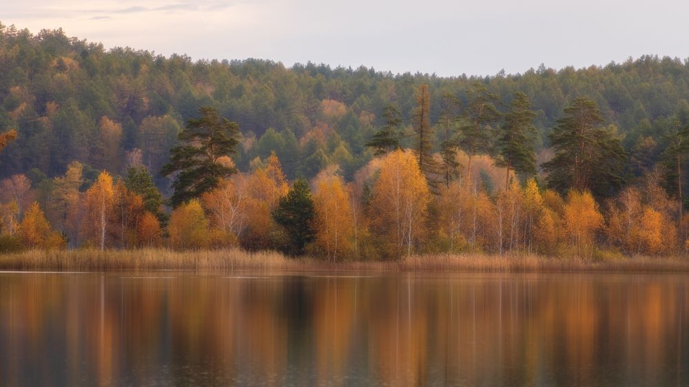 Осенняя