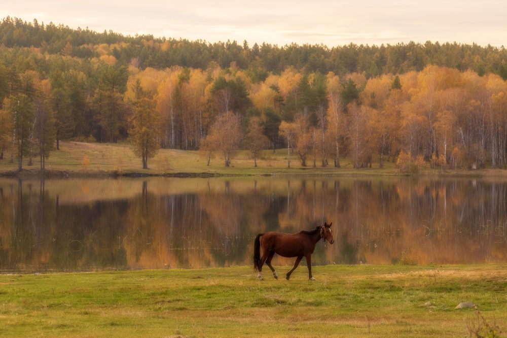 Осенняя