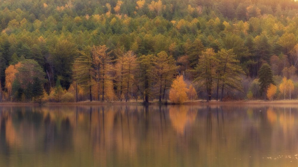 Осенняя