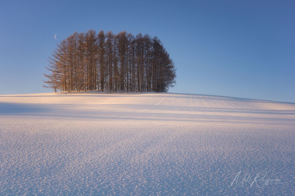 Hokkaido Winter