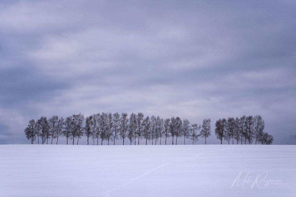 Hokkaido Winter