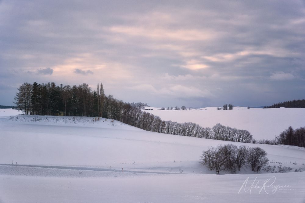 Hokkaido Winter