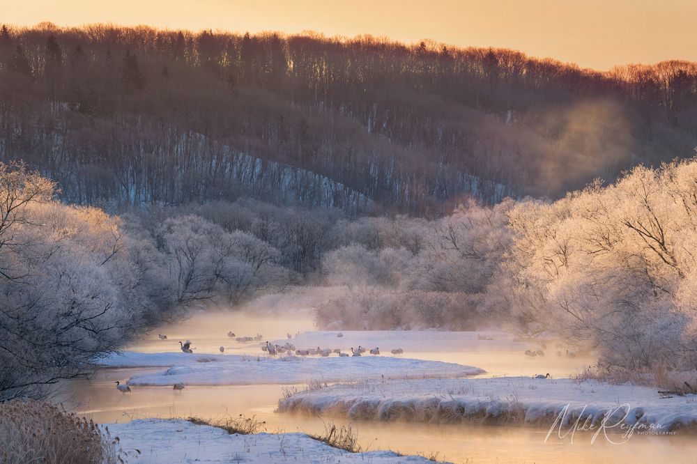 Hokkaido Winter