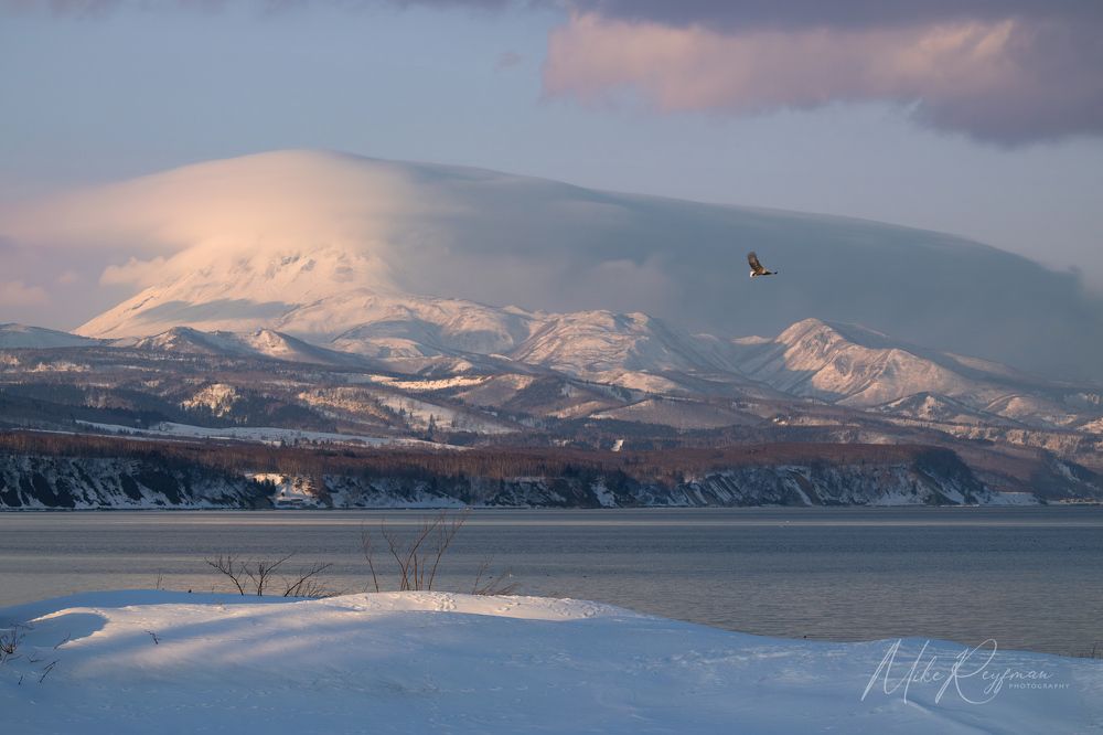 Hokkaido Winter