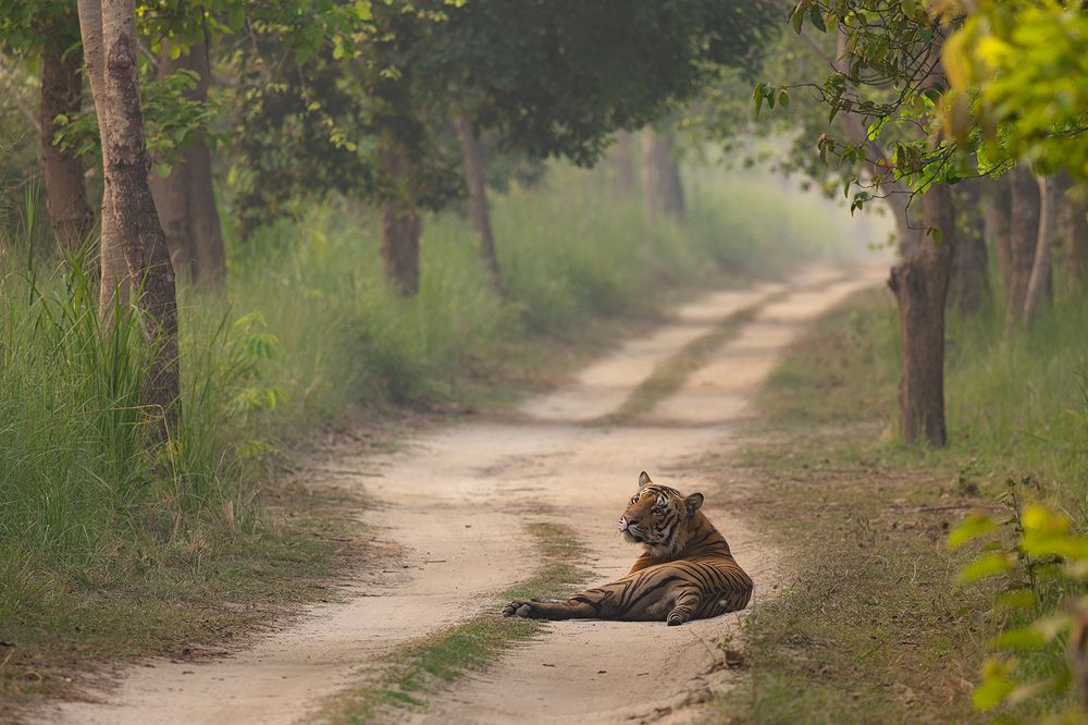 Nature & Wildlife