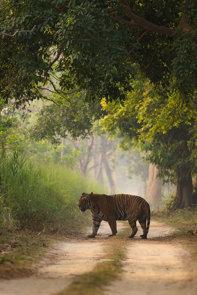 Nature & Wildlife