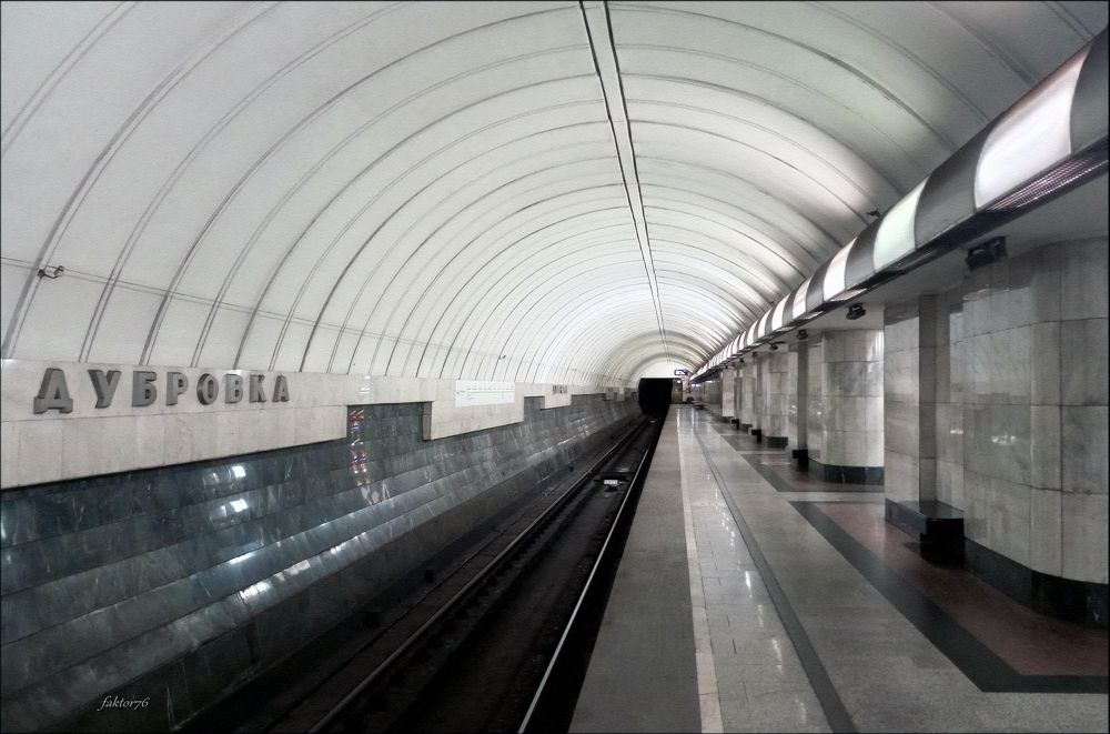 Станция метро Дубровка. Москва