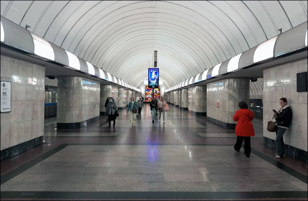 Станция метро Дубровка. Москва