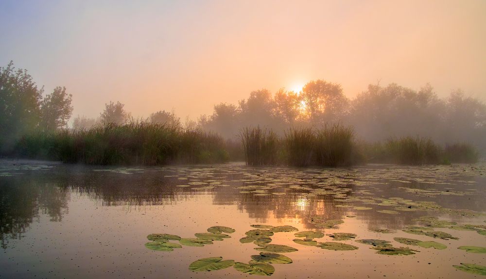 Photo 2703629