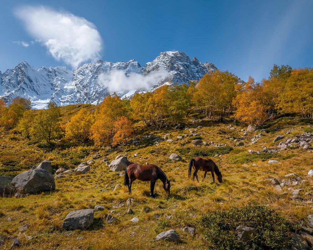 Горная осень