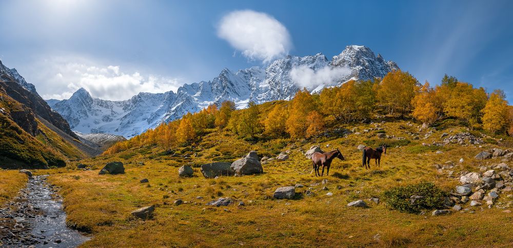 Горная осень