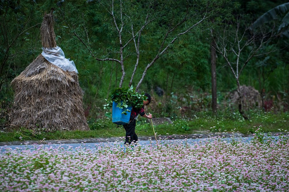 Around Ha Giang